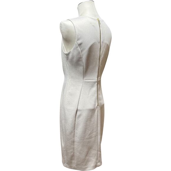 Calvin Klein Sleeveless Sheath Dress Oat 8 - Picture 4 of 7